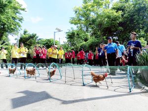 The Volunteer for Social and Environmental Development (VSED) Club Activities